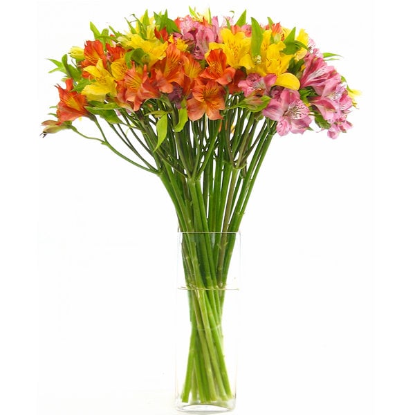 Flowers in Season October BridalGuide